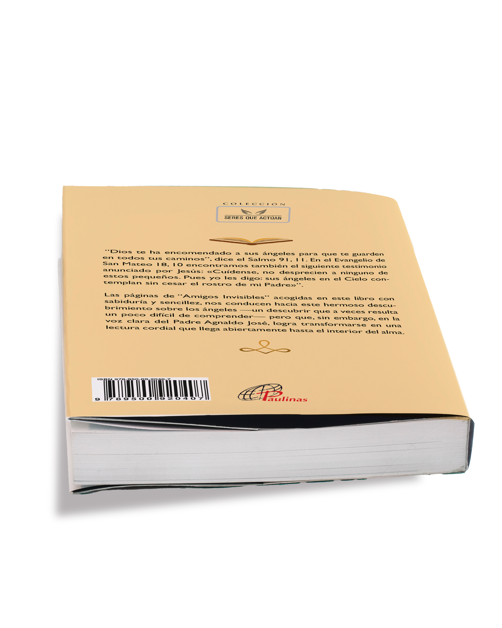 AMIGOS INVISIBLES. Los Ángeles Padre Agnaldo José